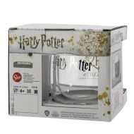 Dvoustěnný skleněný hrnek 290 ml Harry Potter